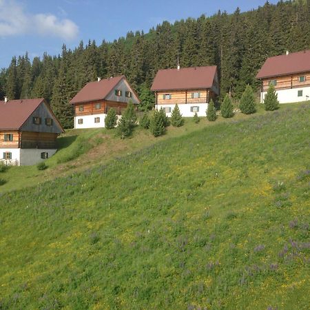 Moselebaueralm Villa Klippitztorl Екстериор снимка