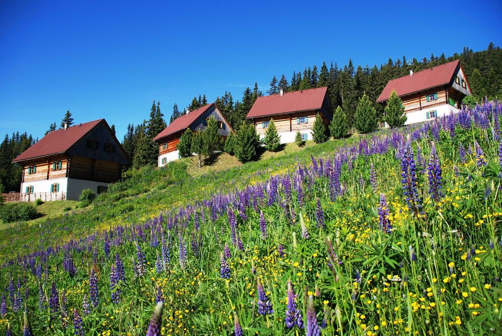 Moselebaueralm Villa Klippitztorl Стая снимка