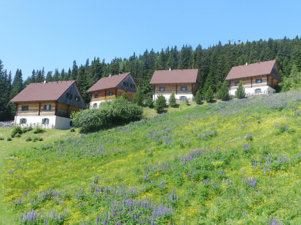 Moselebaueralm Villa Klippitztorl Стая снимка