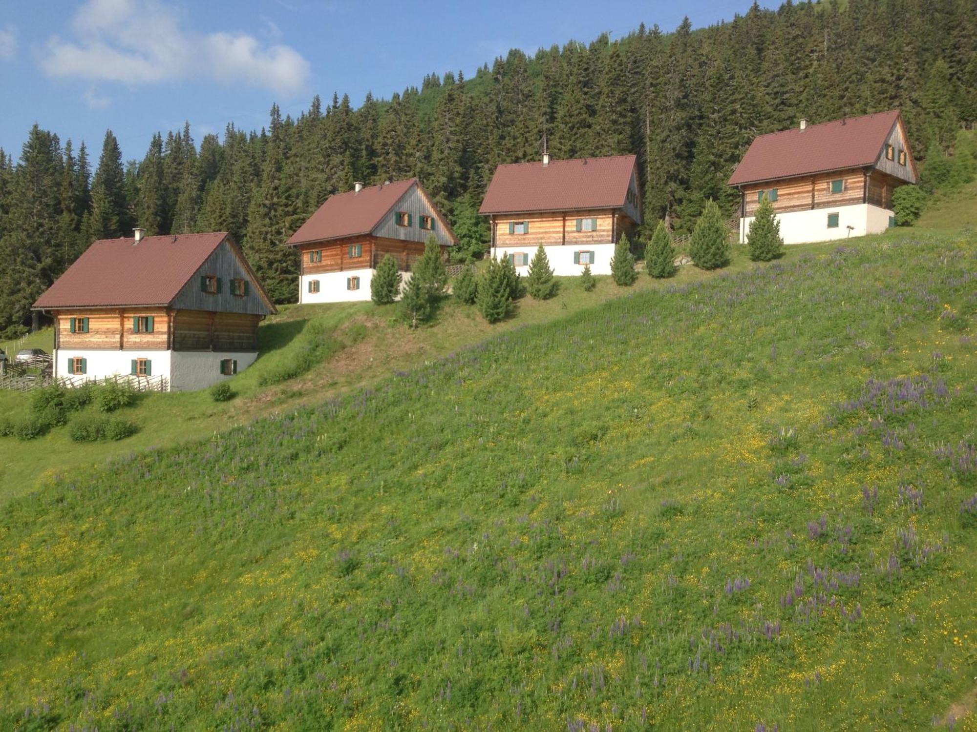 Moselebaueralm Villa Klippitztorl Екстериор снимка
