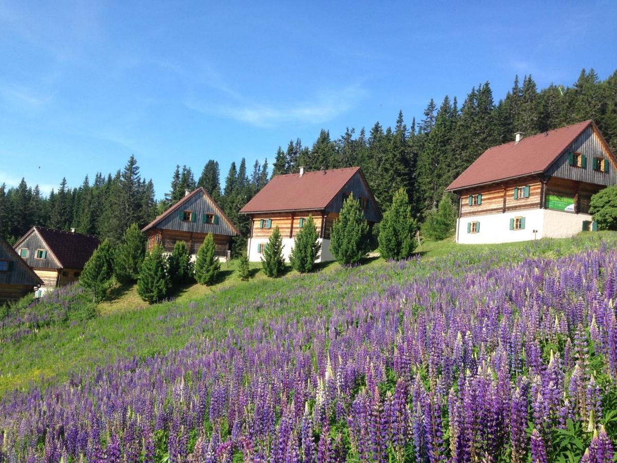 Moselebaueralm Villa Klippitztorl Екстериор снимка